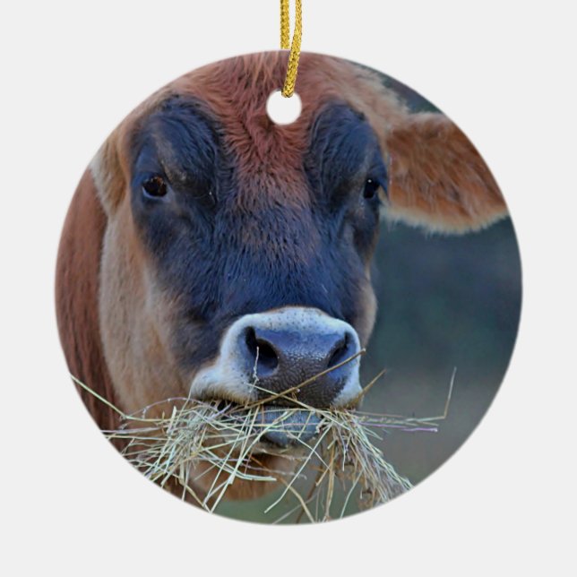 Jersey Cow Ceramic Ornament (Front)
