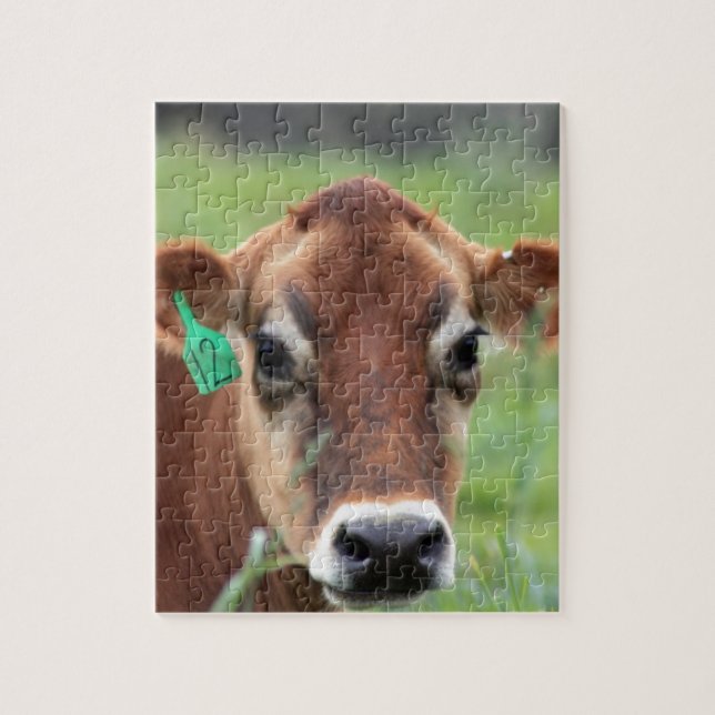 Jersey Cow Jigsaw Puzzle (Vertical)