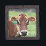Jersey Cow Keepsake Box<br><div class="desc">Photos taken by me Karrie Remington Photography. This photo was taken in upstate NY, where I snuck up on her sleeping and this was the look that I got when she woke up. Nothing better then walking the pastures capturing the cows</div>