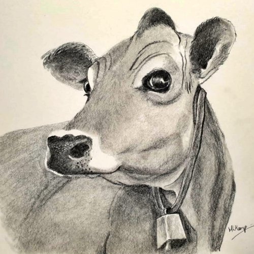 Jersey Cow sketch Poster