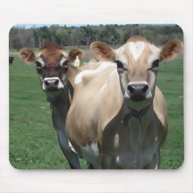 Jersey cows mouse pad (Front)