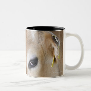 Jersey dairy cow with head in head lock. Two-Tone coffee mug