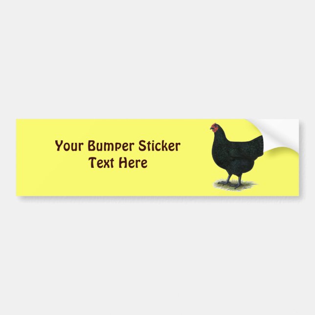 Jersey Giant:  Black Hen Bumper Sticker (Front)