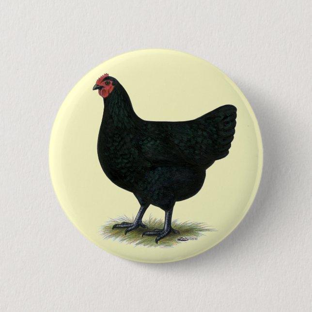 Jersey Giant:  Black Hen Pinback Button (Front)