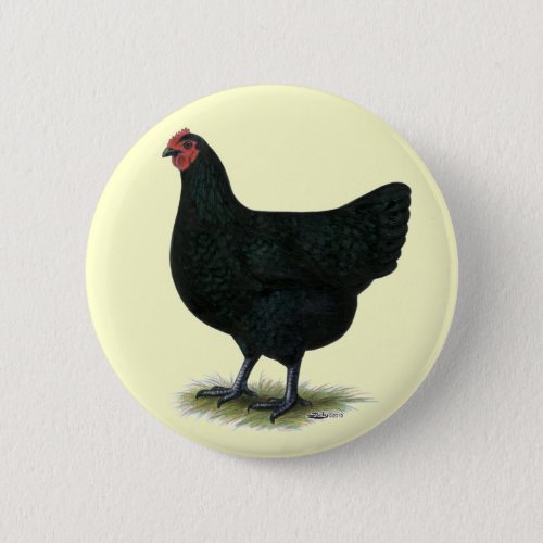 Jersey Giant  Black Hen Pinback Button