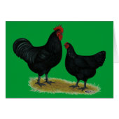 Jersey Giant Chickens (Front Horizontal)