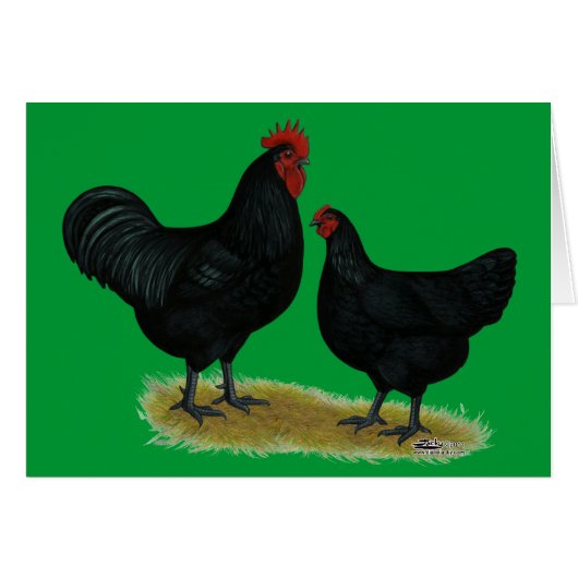 Jersey Giant Chickens Cards (Front Horizontal)