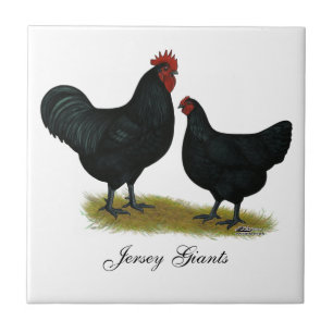 Jersey Giant Chickens Ceramic Tile