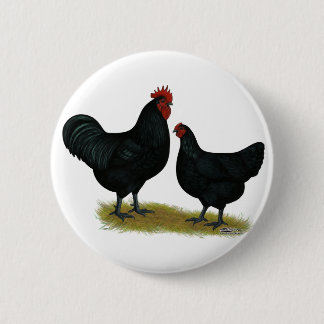 Jersey Giant Chickens Pinback Button