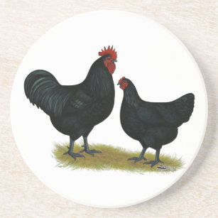 Jersey Giant Chickens Sandstone Coaster