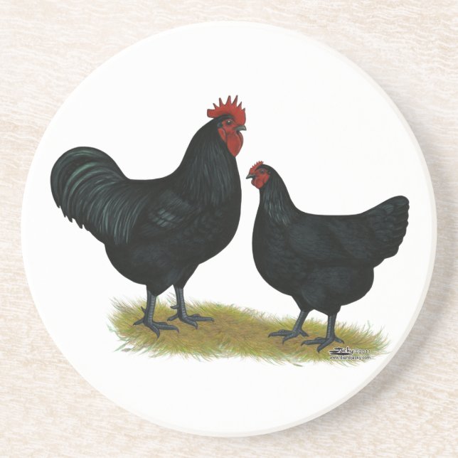Jersey Giant Chickens Sandstone Coaster (Front)