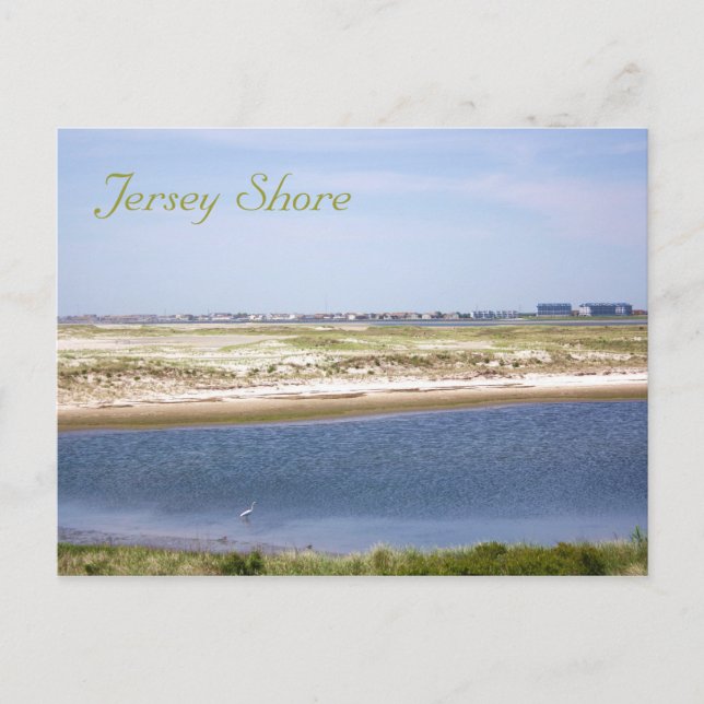 Jersey Shore Point Postcard (Front)