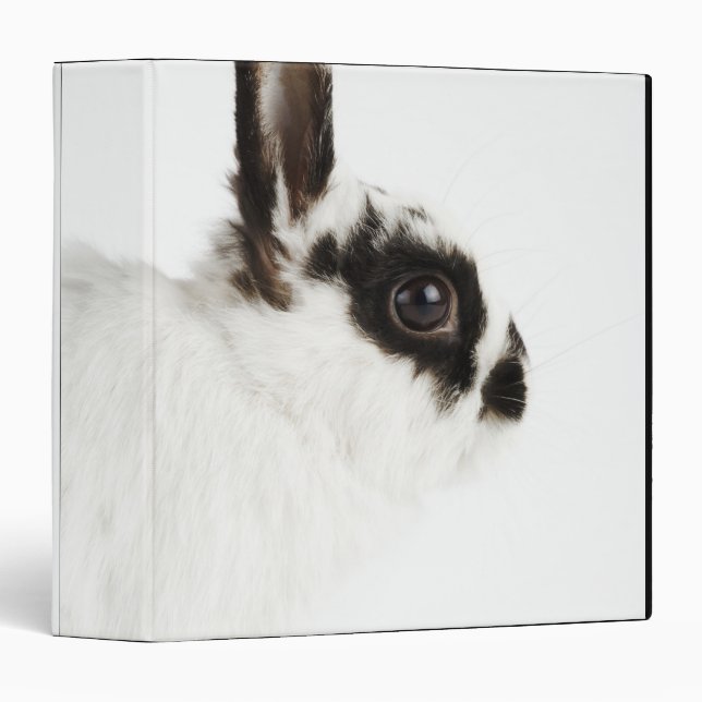 Jersey Wooly Rabbit 3 Ring Binder (Front/Spine)