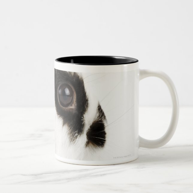 Jersey Wooly Rabbit Two-Tone Coffee Mug (Right)