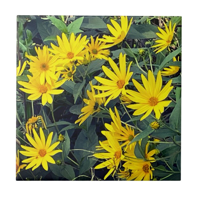 Jerusalem Artichoke Flowers Ceramic Tile (Front)