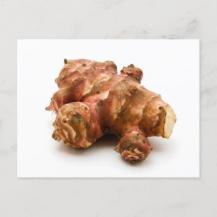 Jerusalem artichoke postcard