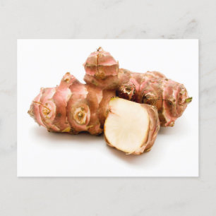 Jerusalem artichoke postcard