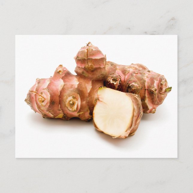 Jerusalem artichoke postcard (Front)