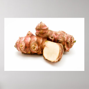 Jerusalem artichoke poster