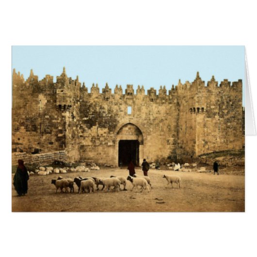 Jerusalem - Damascus Gate Cards (Front Horizontal)