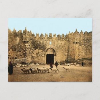 Jerusalem - Damascus Gate Postcard by emunahdesigns at Zazzle