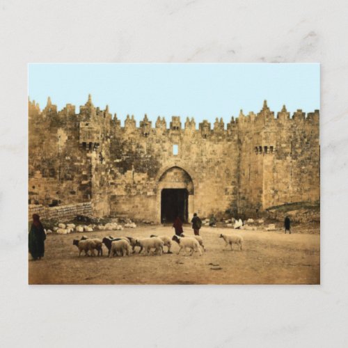 Jerusalem _ Damascus Gate Postcard