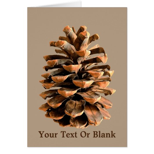 Jerusalem Pine Cone Cards (Front)