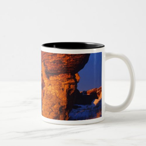 Jerusalem Rocks in Winter near Sweetgrass Two_Tone Coffee Mug