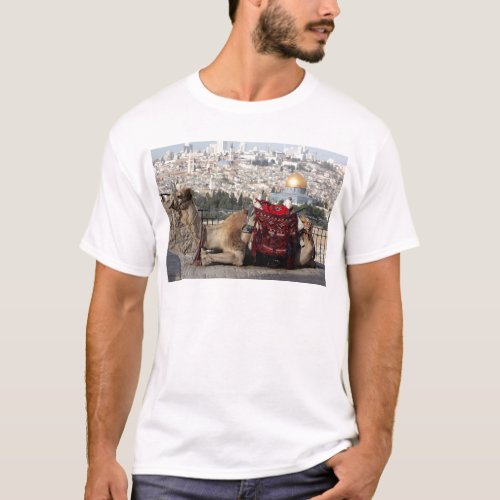 Jerusalem world of colos Holy City T_Shirt