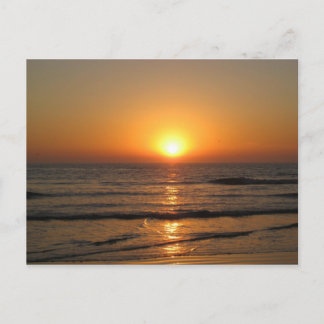 Jess' Pix 146_3 Postcard