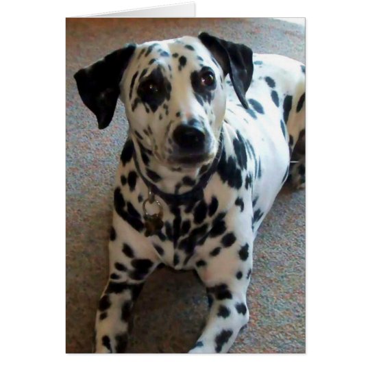 Jessica the Wonder Dog! Card