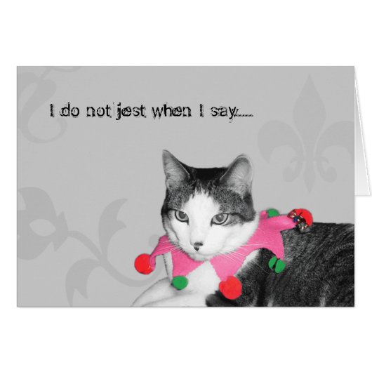 Jester Cat Cards (Front Horizontal)