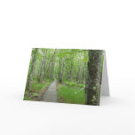 Jesup Path Boardwalk Trail Card