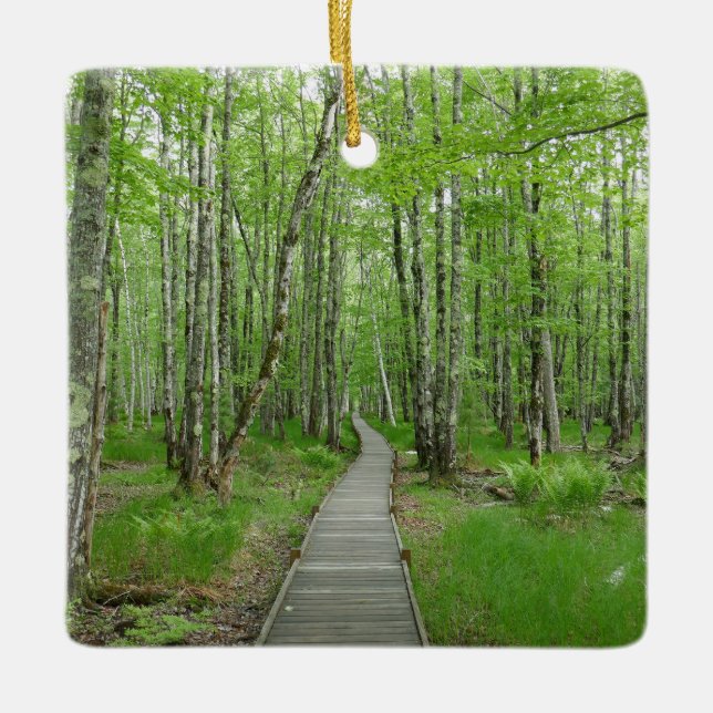 Jesup Path Boardwalk Trail Ceramic Ornament (Front)