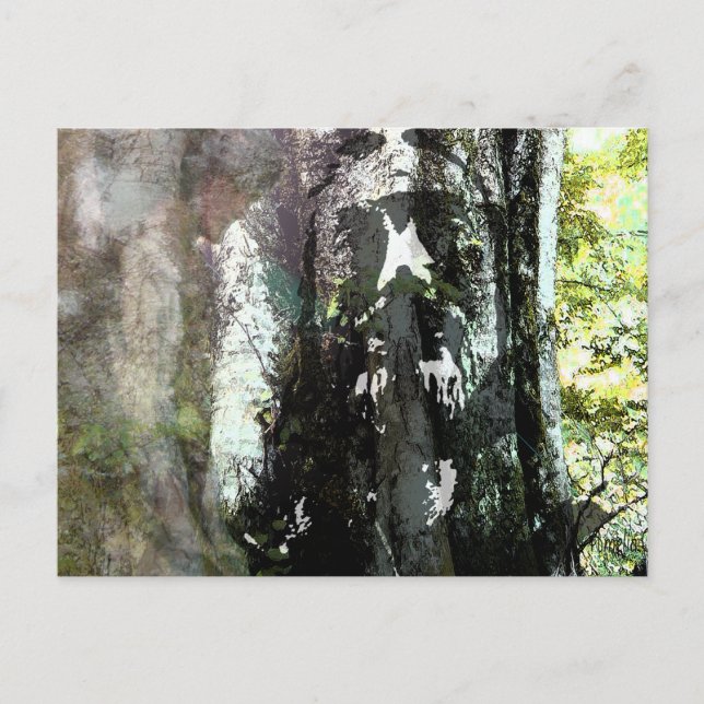 Jesus and the Tree Postcard (Front)