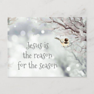 Jesus Christmas Quote Cute Winter Frost Bird Holiday Postcard