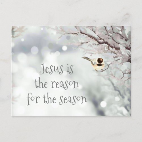 Jesus Christmas Quote Cute Winter Frost Bird Holiday Postcard