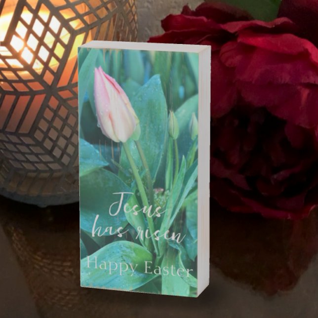 Jesus Has Risen Happy Easter Tulip Photo Gift  Wooden Box Sign (Raindrops on blush pink tulip bring Spring indoors with Jesus has risen Happy Easter Christian art.)