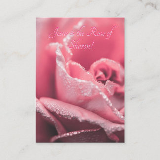 Jesus is "The Rose of Sharon" template