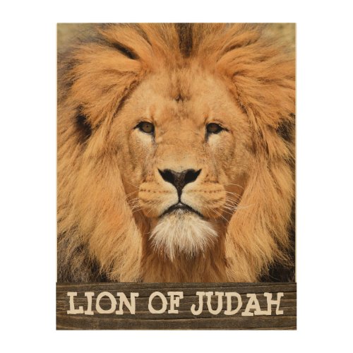 JESUS LION OF JUDAH ART WOOD WALL SIGNS CHRISTIAN