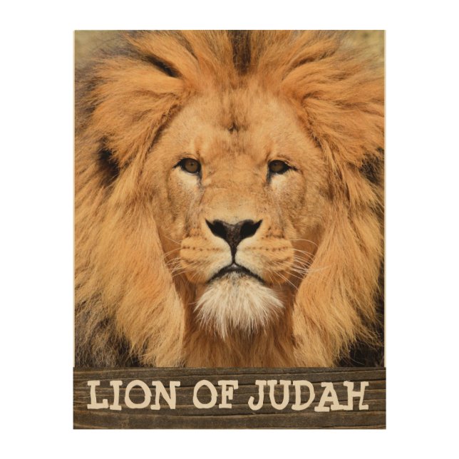 JESUS LION OF JUDAH ART WOOD WALL SIGNS CHRISTIAN (Front)