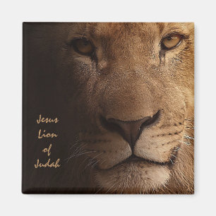 Jesus Lion of Judah Inspirational Christian Quote Magnet