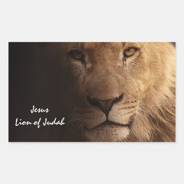 Jesus Lion of Judah Inspirational Christian Quote Rectangular Sticker (Front)