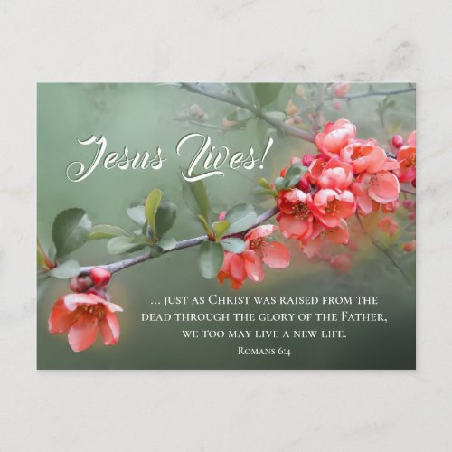 Jesus Lives Spring Flowers Bible Verse Easter Postcard