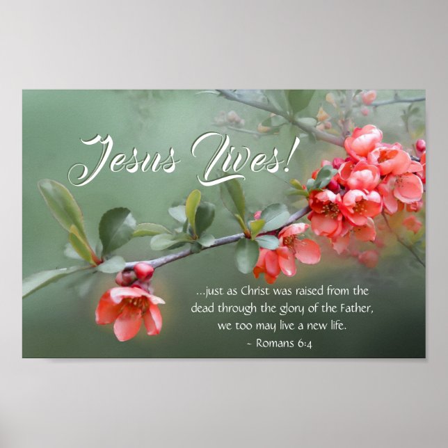 Jesus Lives Spring Flowers Bible Verse Easter Poster (Front)