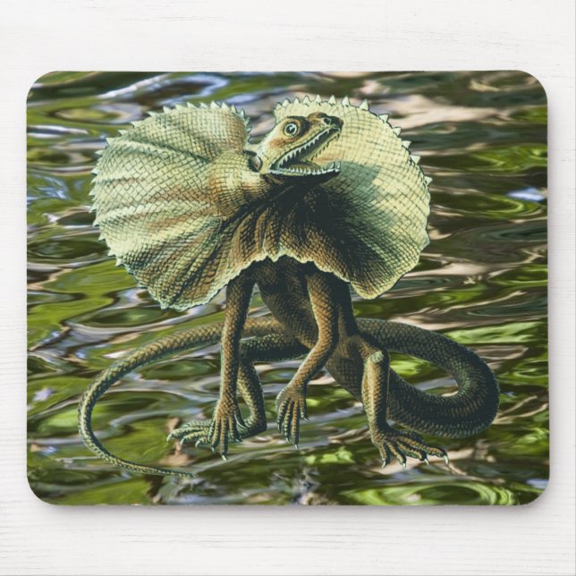 Jesus Lizard Mousepad (Front)