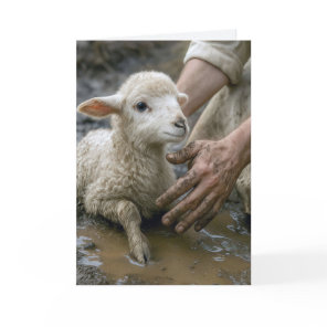Jesus Rescuing a Lamb Card