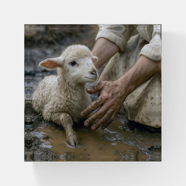 Jesus Rescuing a Lamb From a Mud Puddle Paperweight (Front)