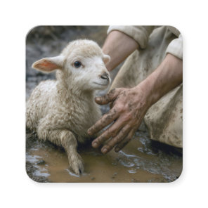 Jesus Rescuing a Lamb From a Mud Puddle Square Business Card