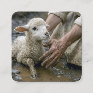 Jesus Rescuing a Lamb From a Mud Puddle Square Business Card